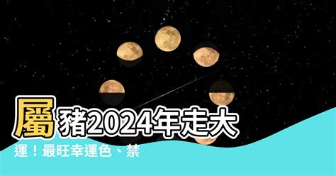 1983屬豬幸運色|【屬豬幸運色】屬豬者專屬幸運色！2024豬年最強運勢指南